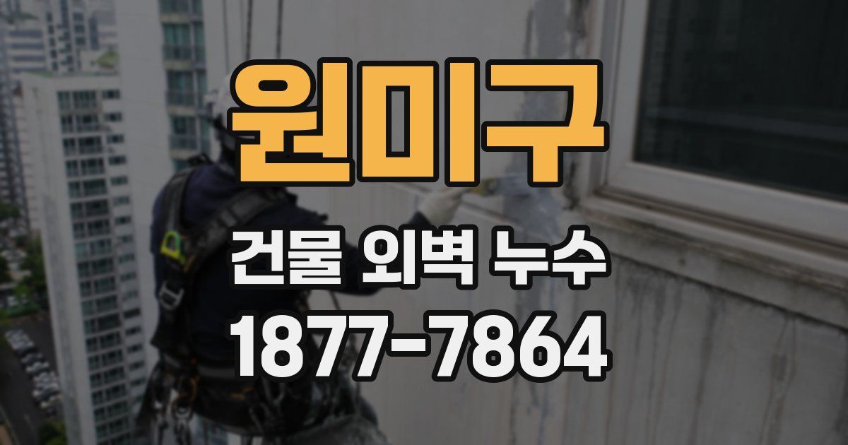 원미구 건물 외벽 누수