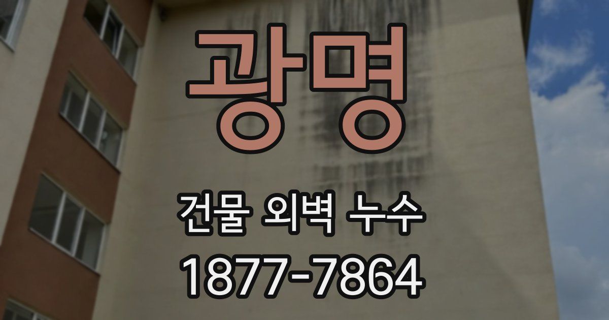광명 건물 외벽 누수