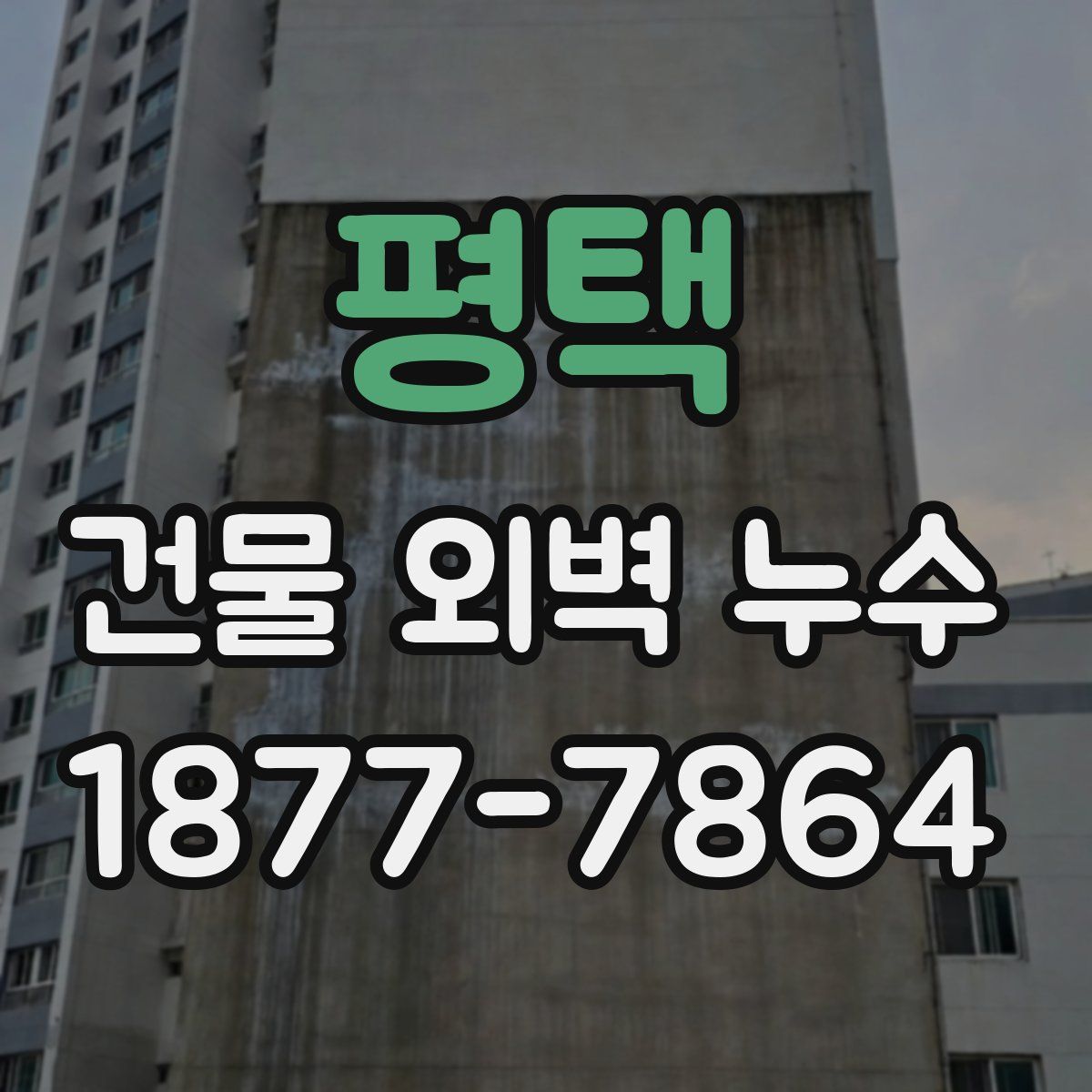 평택 건물 외벽 누수