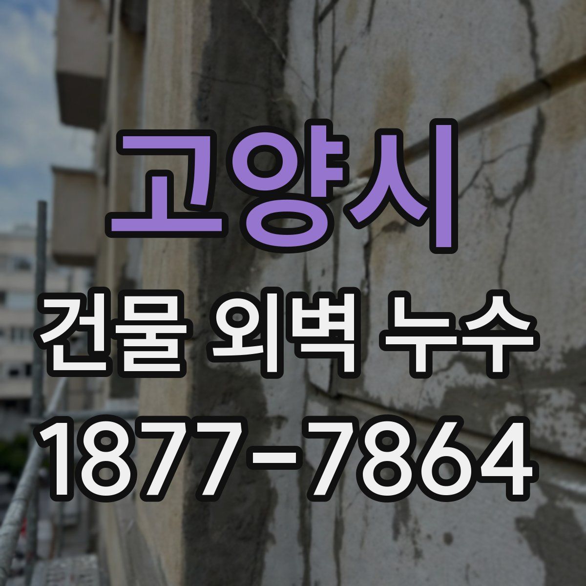 고양시 건물 외벽 누수