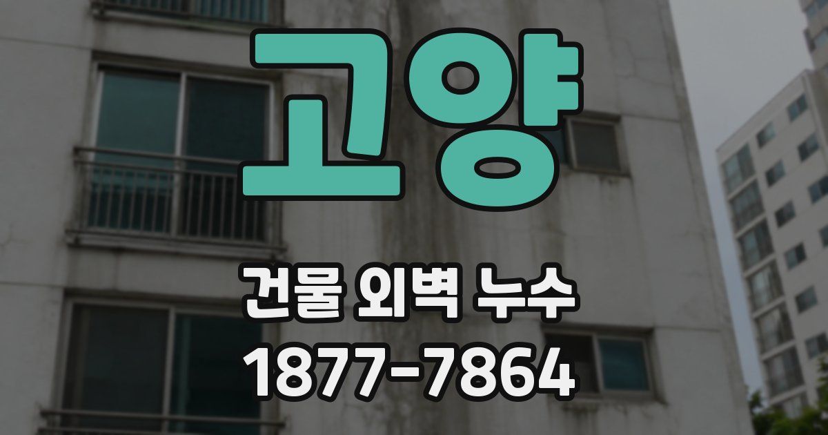 고양 건물 외벽 누수