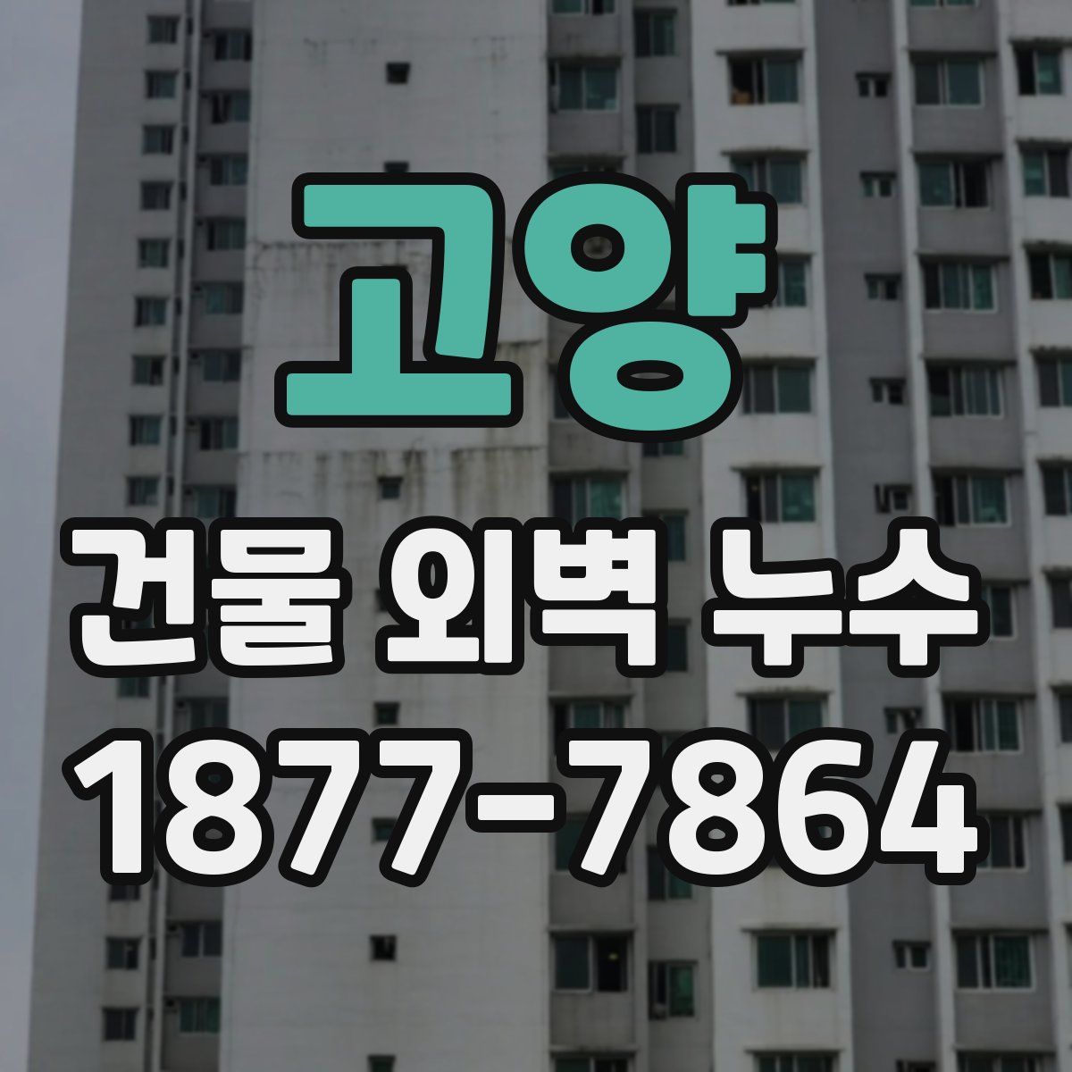 고양 건물 외벽 누수