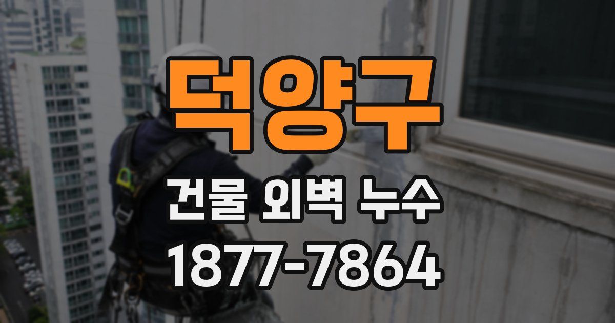 덕양구 건물 외벽 누수