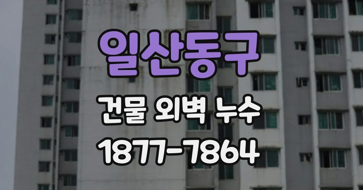 일산동구 건물 외벽 누수