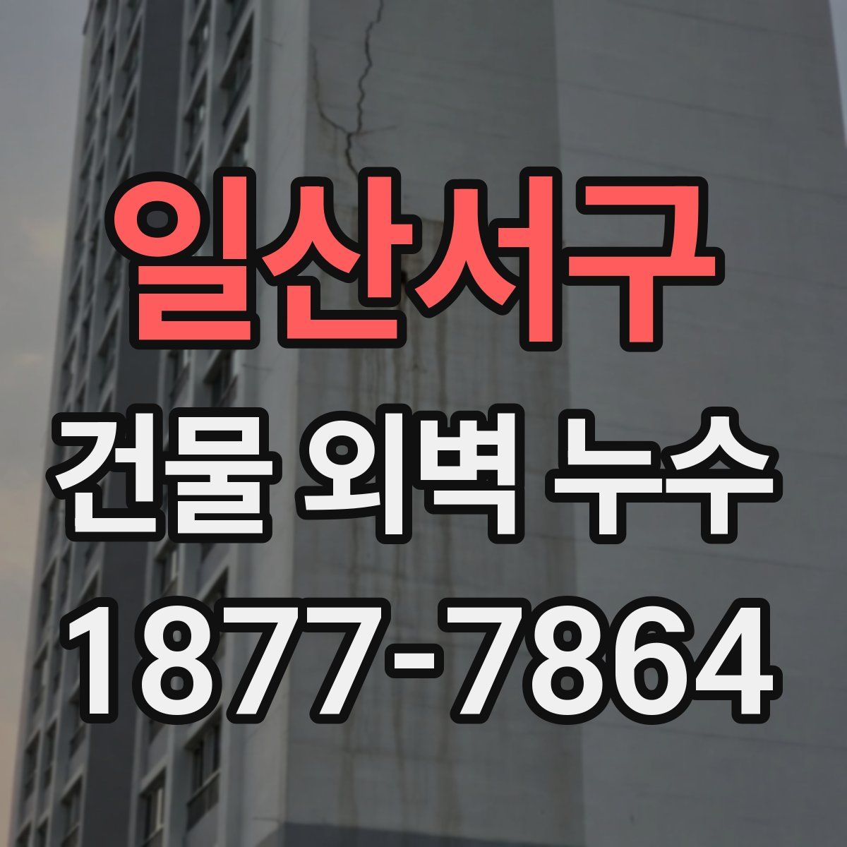 일산서구 건물 외벽 누수