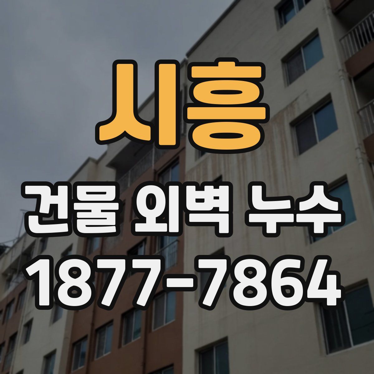 시흥 건물 외벽 누수
