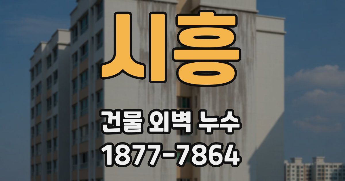 시흥 건물 외벽 누수