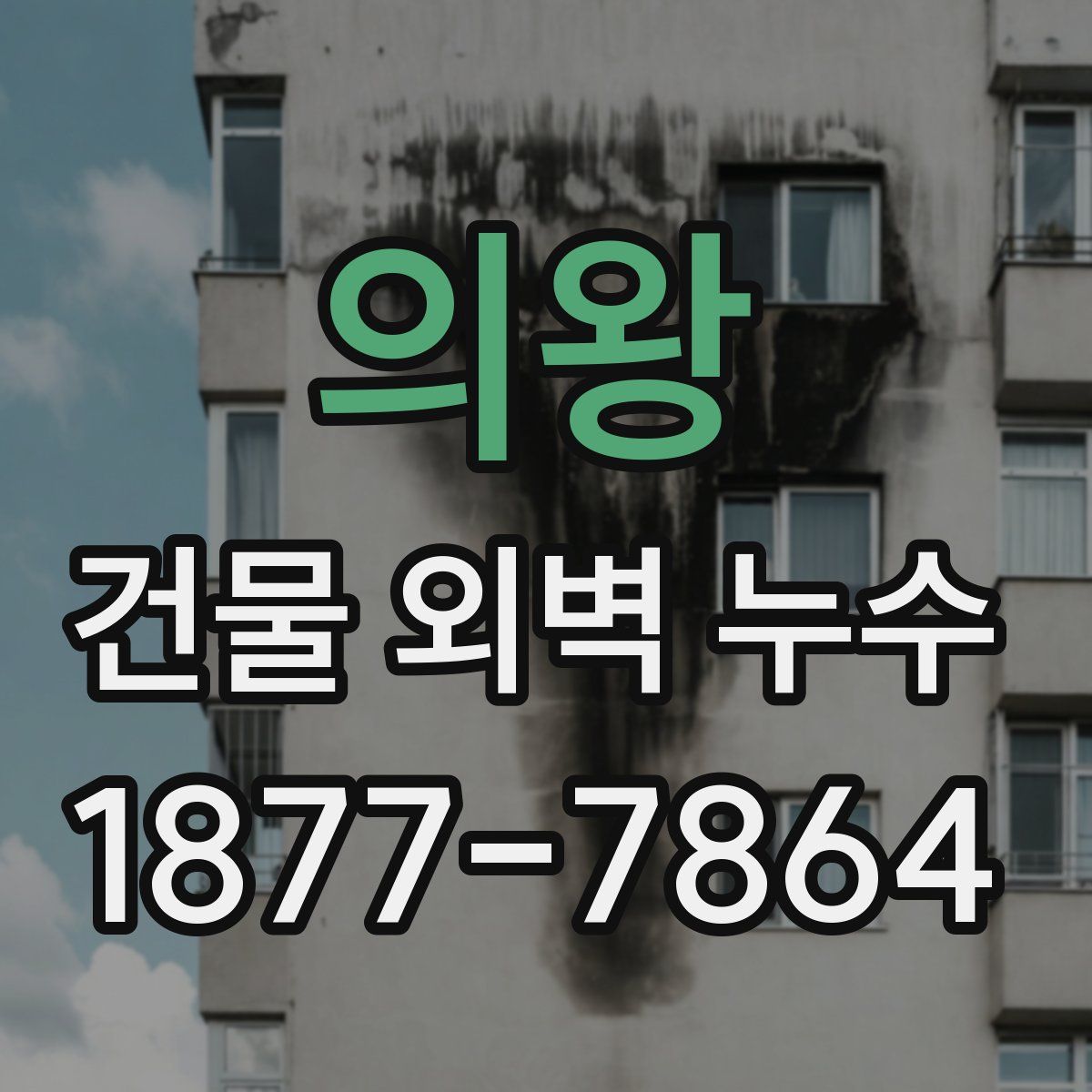 의왕 건물 외벽 누수