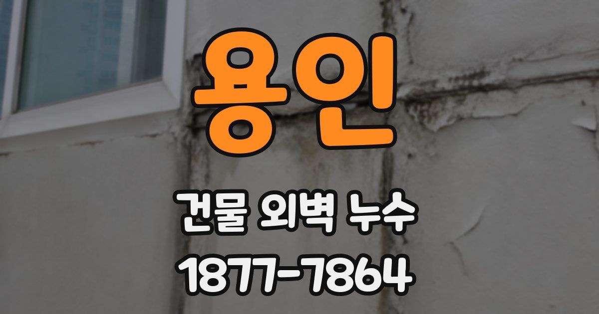 용인 건물 외벽 누수