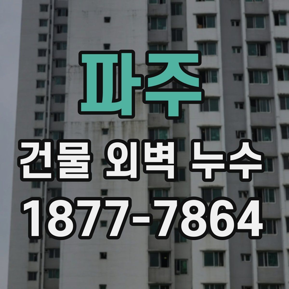 파주 건물 외벽 누수 정밀 점검이 필요한 징후