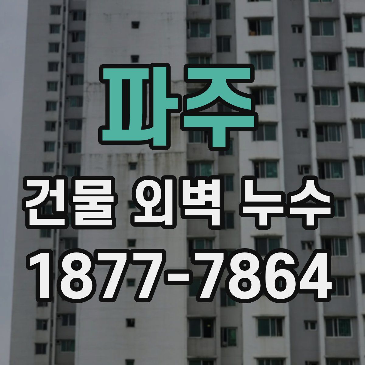 파주 건물 외벽 누수