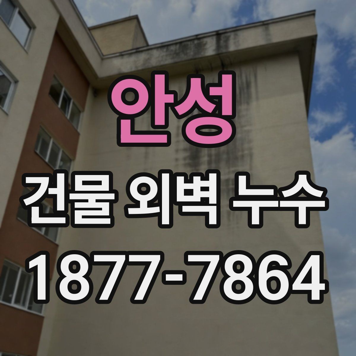 안성 건물 외벽 누수 점검 결과를 해석하는 방법