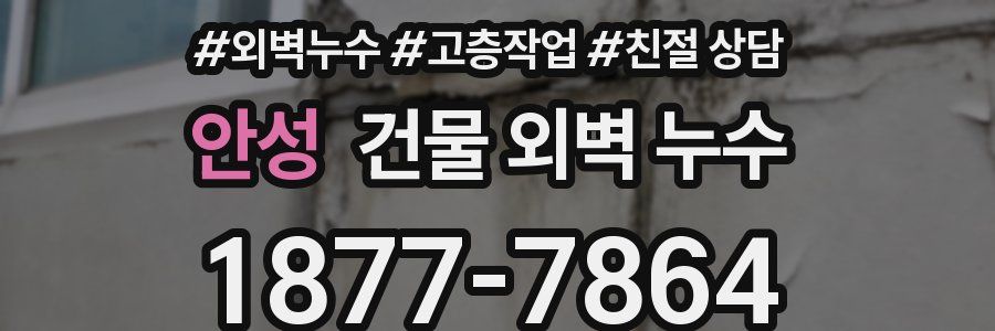 안성 건물 외벽 누수