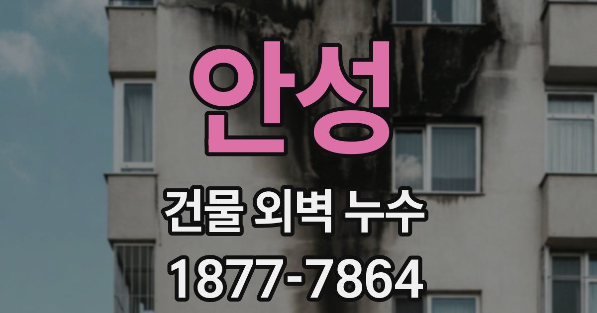 안성 건물 외벽 누수