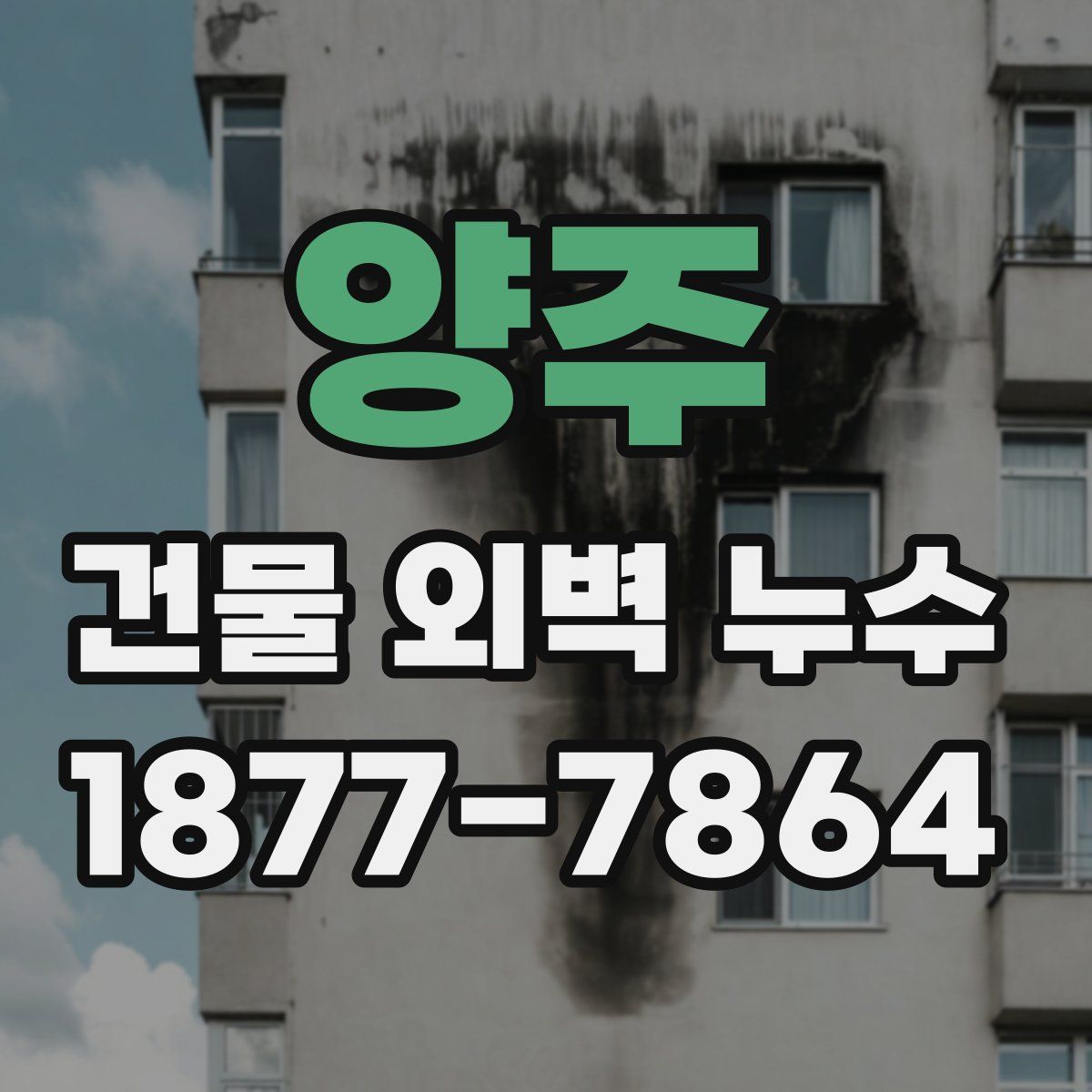 양주 건물 외벽 누수