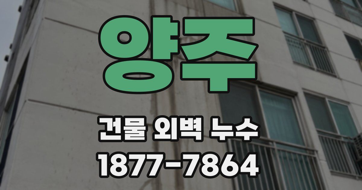양주 건물 외벽 누수