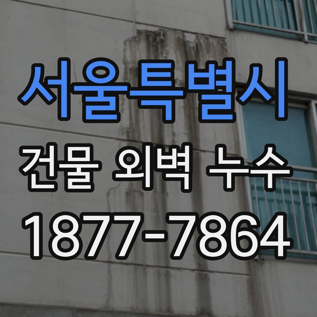 서울특별시 건물 외벽 누수 점검에서 자주 보는 결함
