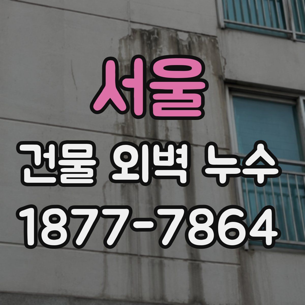 서울 건물 외벽 누수