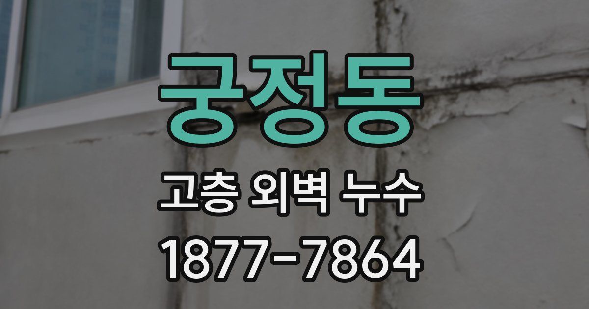 궁정동 고층 외벽 누수