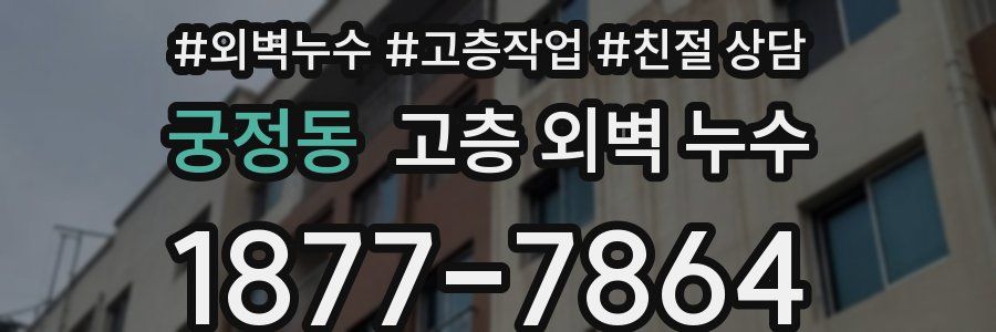 궁정동 고층 외벽 누수