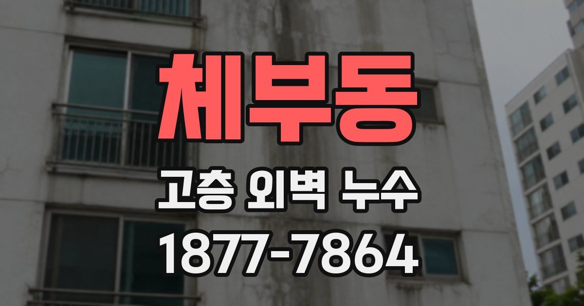 체부동 고층 외벽 누수