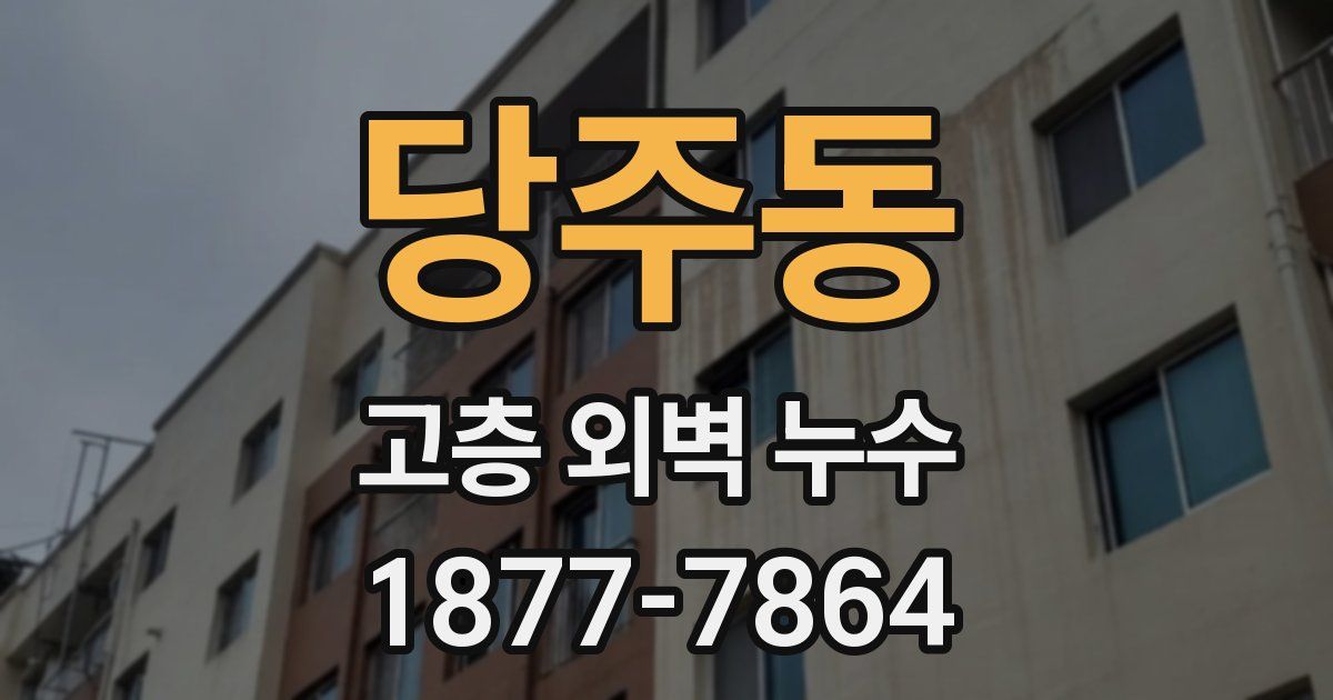 당주동 고층 외벽 누수