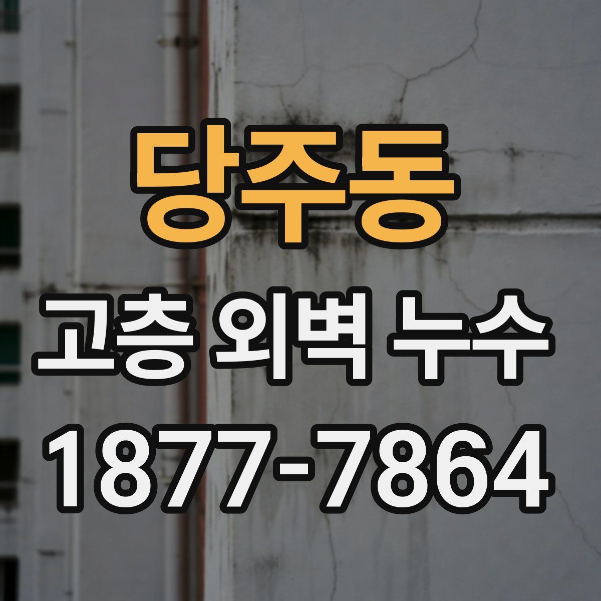 당주동 고층 외벽 누수