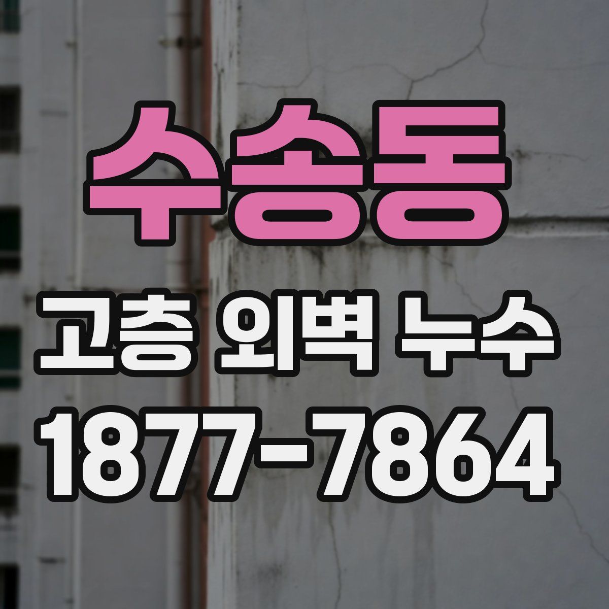 수송동 고층 외벽 누수