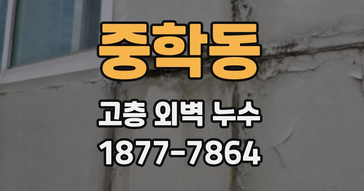 중학동 고층 외벽 누수