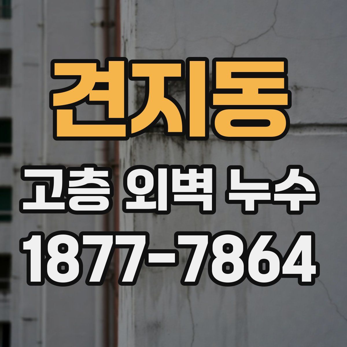 견지동 고층 외벽 누수