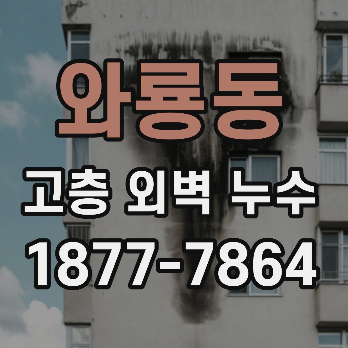 와룡동 고층 외벽 누수