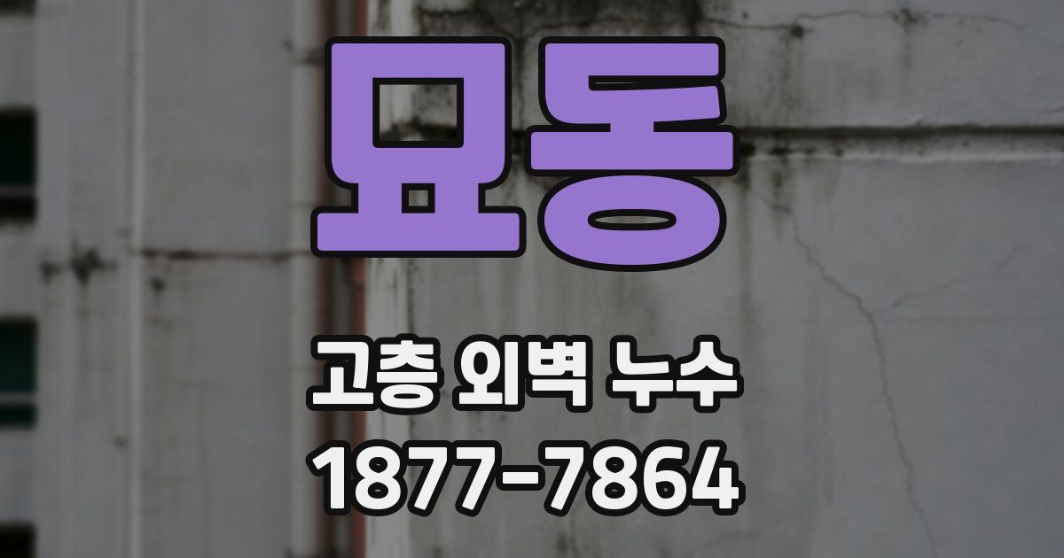 묘동 고층 외벽 누수