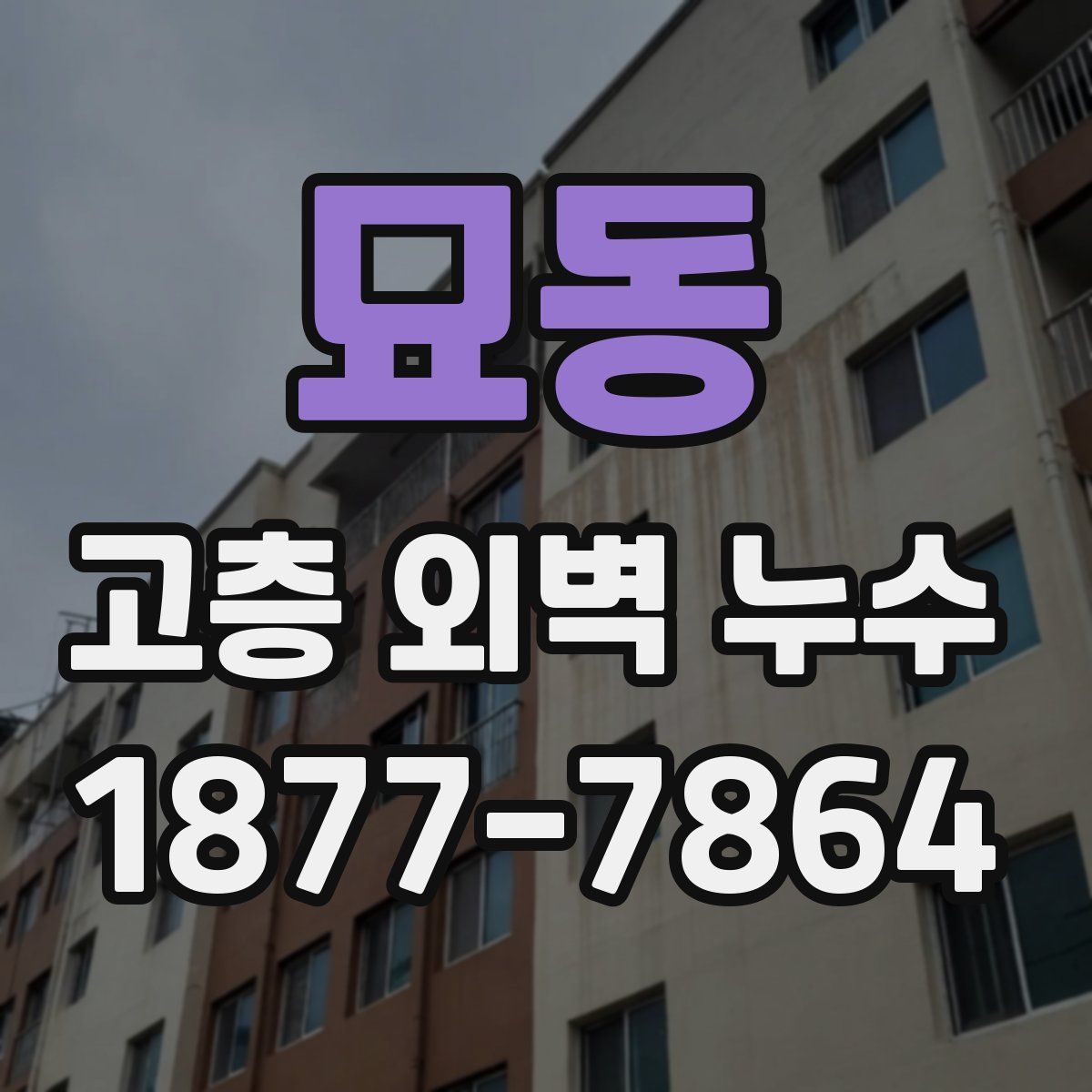 묘동 고층 외벽 누수
