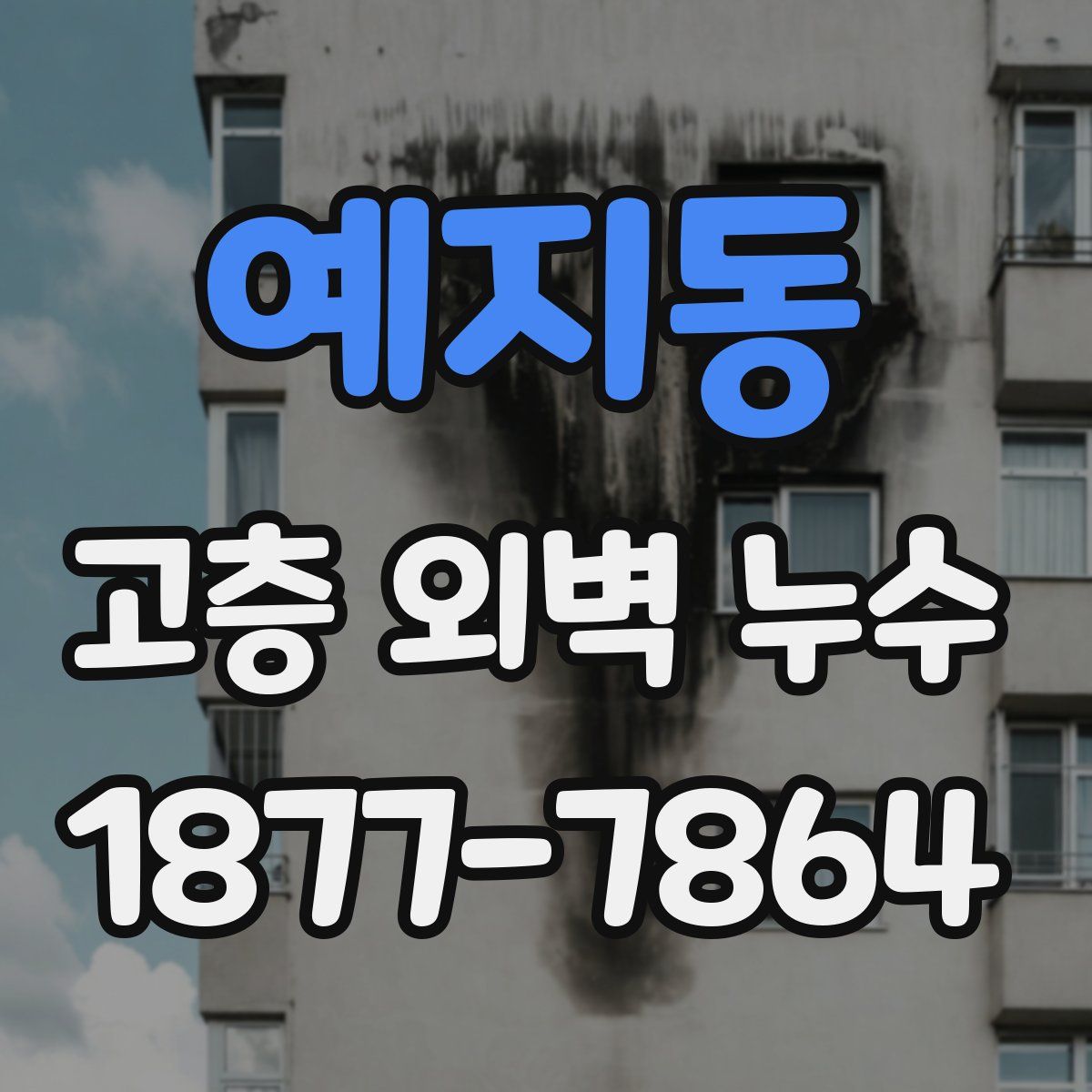 예지동 고층 외벽 누수