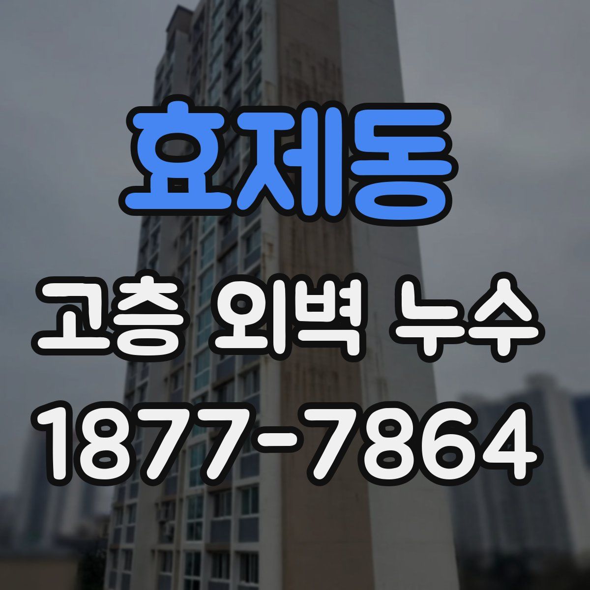 효제동 고층 외벽 누수