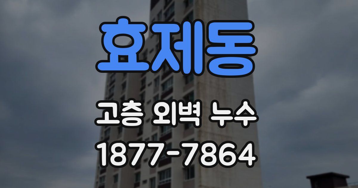 효제동 고층 외벽 누수