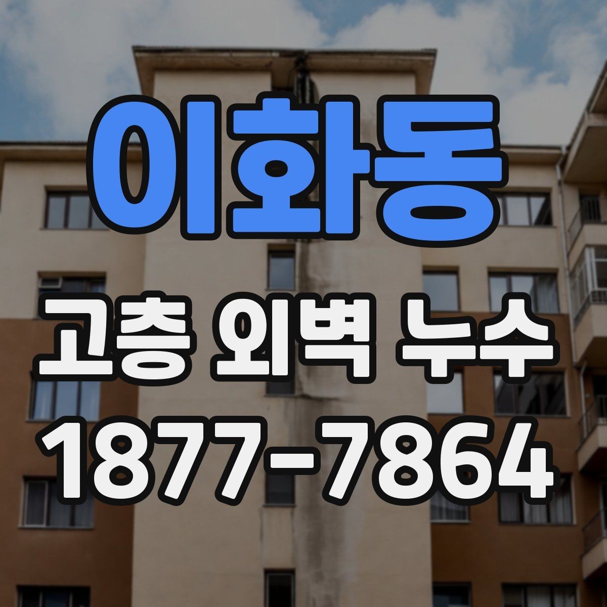 이화동 고층 외벽 누수 외벽 상태 점검 체크리스트