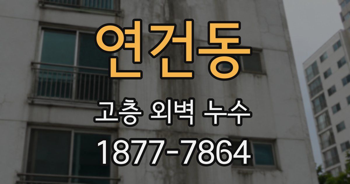 연건동 고층 외벽 누수