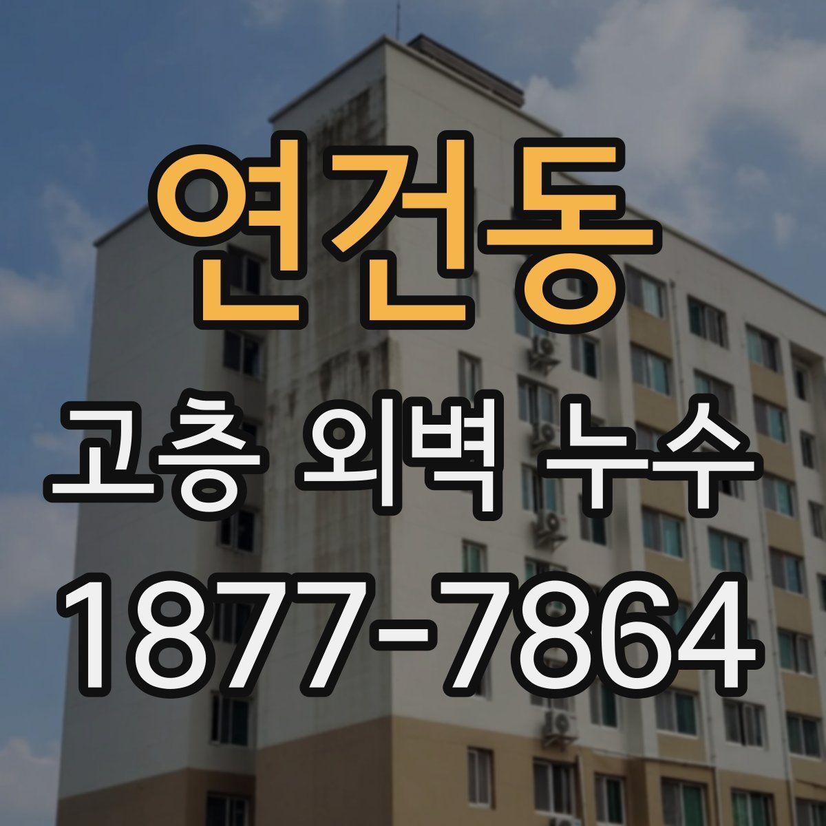 연건동 고층 외벽 누수