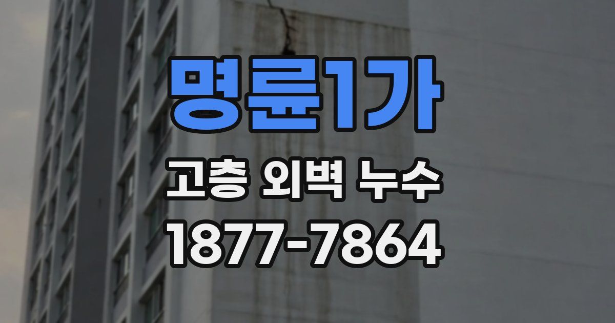 명륜1가 고층 외벽 누수