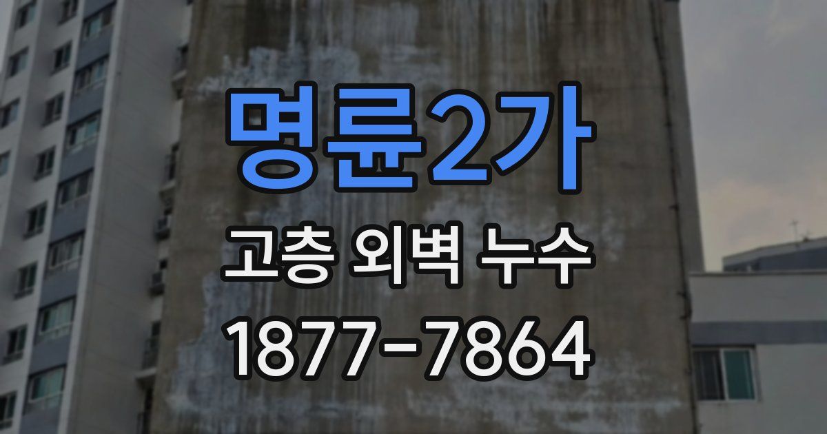 명륜2가 고층 외벽 누수