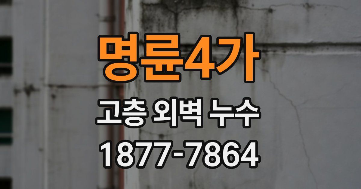 명륜4가 고층 외벽 누수