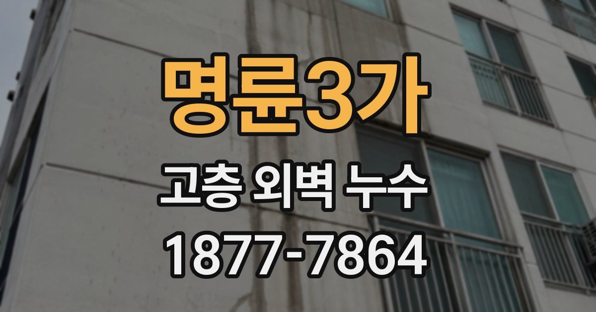 명륜3가 고층 외벽 누수