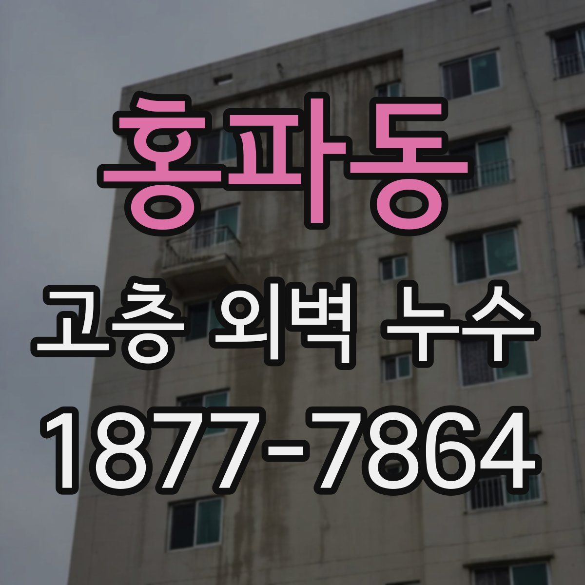 홍파동 고층 외벽 누수