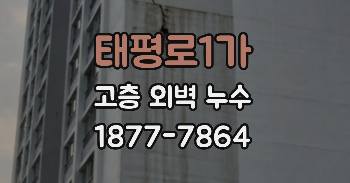 태평로1가 고층 외벽 누수
