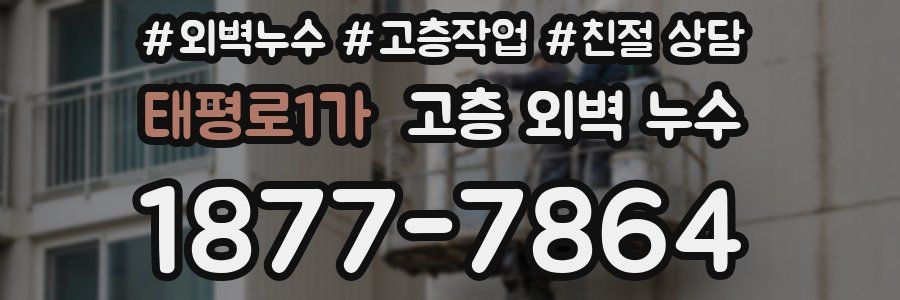 태평로1가 고층 외벽 누수