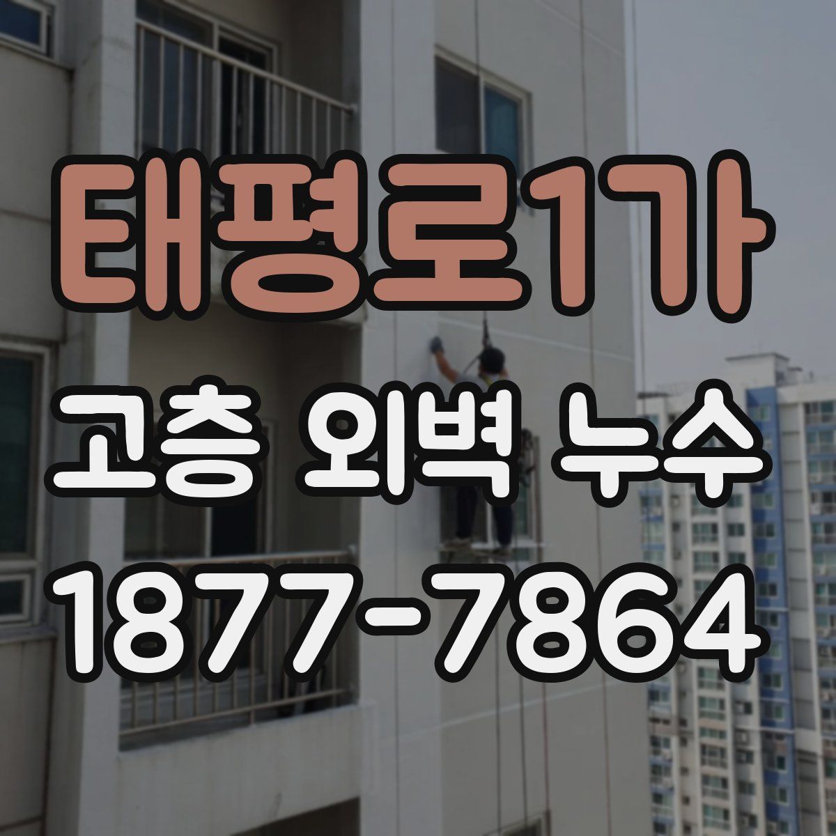 태평로1가 고층 외벽 누수