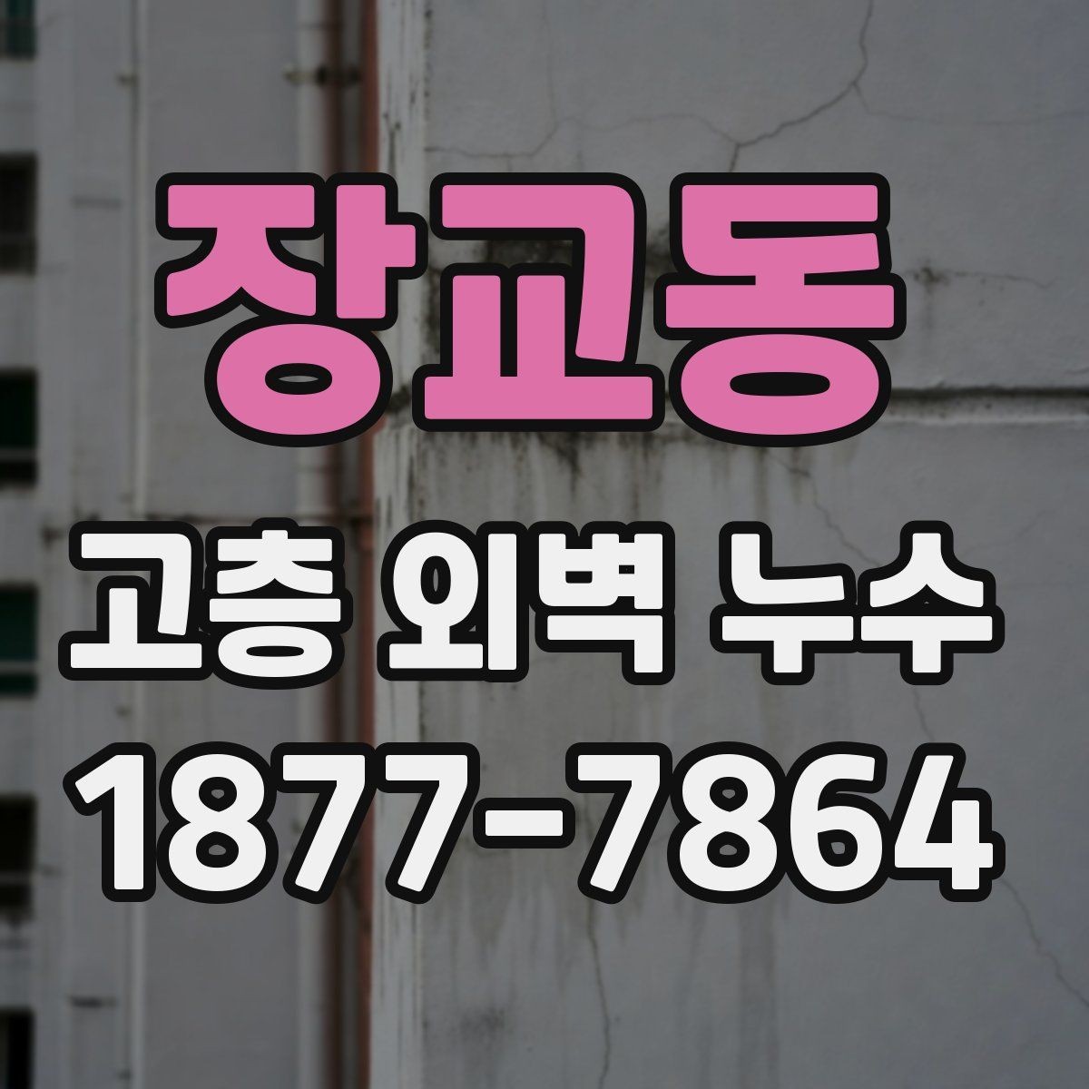 장교동 고층 외벽 누수 원인별 대응 방법 정리