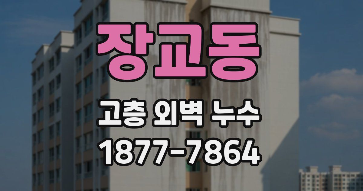 장교동 고층 외벽 누수