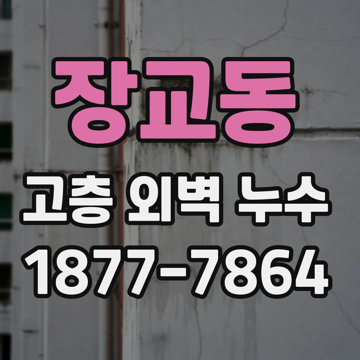 장교동 고층 외벽 누수